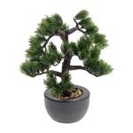 Bonzai Tree In Pot 32X32X50CM - Spikey Leaves