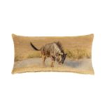 Angry Blue Wildebeest Oblong Luxury Scatter By Fanie Heymans