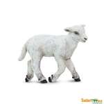 Farm Lamb
