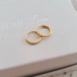 Carmen Gold Plated Small Round Hoop Earrings Size 10MM Hoops