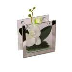 Orchid In Frame Green & White