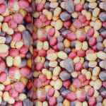 100% Tton Printed Potatoes 25