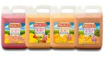 Magalies 5 Litre Burst Nectar Concentrate Bundle Of 4