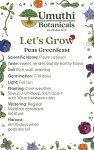 Umuthi Peas Greenfeast Growing Seeds