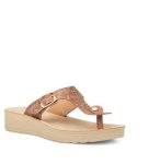 Slitheran 1 Bronze - 3