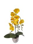 Orchid In Pot 56CM Yellow