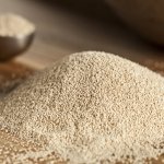Yeast Dried