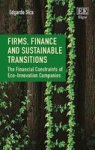 Firms Finance And Sustainable Transitions - The Financial Constraints Of Eco-innovation Companies Hardcover