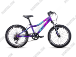Apex A200L Girl's 20" Alloy Mountain Bike