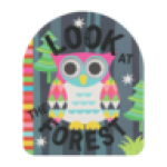 Look At The Forest Reading Book