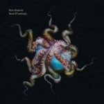 Heat & Entropy Vinyl Record