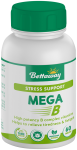 Mega B Time Release Tablets 60S