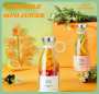 Portable MINI Juicer
