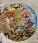Sonic Plates Large