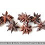 Star Anise