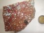 Chrysocolla Cobalto Malachite Druzy CON34