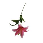 Lily 48CM D pink