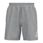 Adidas Essentials Big Logo Single Jersey Men's Shorts
