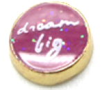FLC107 - Dream Big