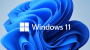 Microsoft Windows 11 Home