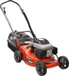 Tandem Ratel Vx 200 Heavy-duty Industrial Petrol Mower Torx VX200 Engine