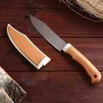 Pink Pairing Knife With Cover