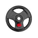Everlast 10KG Rubber Weight Plate