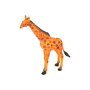 Giraffe - 10 Giraffe Blister Card