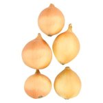 Pnp Onions Duo Pack