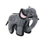 Zoo - Elephant