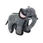 Zoo - Elephant