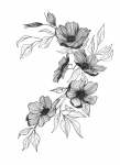 Wild Flowers Art Print - A3