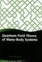 Quantum Field Theory Of Many-body Systems - From The Origin Of Sound To An Origin Of Light And Electrons   Hardcover