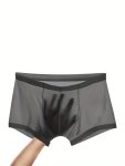 Men's Ice Silk Breathable Boxer Briefs Semi Sheer Plus Size Elastic Stretch Ultra Thin Sexy Underwear For Summer