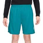 Nike Boys Dri-fit Multi Shorts