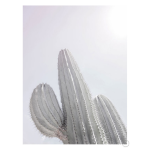 Saguaro Art Print - A4