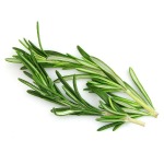 Rosemary Essential Oil 20ML