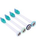Smiles Begin Here: 4XPHILIPS Electric Toothbrush Compatible Heads