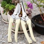 Classic Style Stainless Steel Garden Pruning Shears Set - Sharp Blades For Flower Cutting Plant Trimming Bonsai & Fruit Harvesti