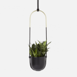 Umbra Bolo Planter - Black