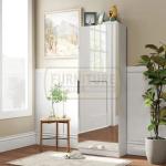 Full Mirror Shoe Cabinet