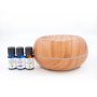 Crystal Aire Bean-shaped Aroma Diffuser With 3 X 10ML Essenial Oils Eucalyptus Citronella Lavender