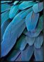 Framed Nordic 240G Quality Canvas Print-blue Escalation Blue Leaves