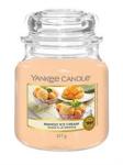 Candle Mango Ice Cream Medium Jar Retail Box No Warranty   Product Overviewthe Candle Mango Ice Cream Medium Jar  Lets You Fill