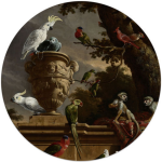 Rsw The Avery Wall Decal - 100CM L X 100CM H