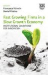 Fast Growing Firms In A Slow Growth Economy - Institutional Conditions For Innovation Hardcover