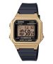 Casio Standard Collection 50M Men's Watch - W-217HM-9AVDF