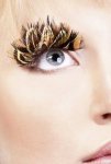 Brown Beige Feather Eyelashes
