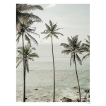 Tropical Dreams Art Print - A3