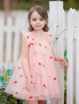 Berry Butterfly Tulle Pink Dress